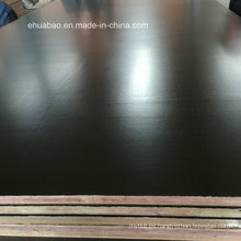 Film Faced Plywood Black Film Poplar Core Hecho en Qingdao